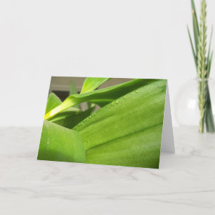 Leere Grußkarte mit fröhlich grünen Orchid-Blätter Karte