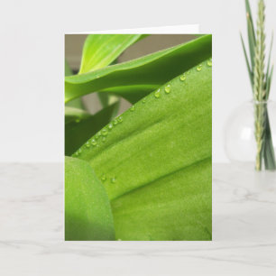 Leere Grußkarte mit fröhlich grünen Orchid-Blätter Karte