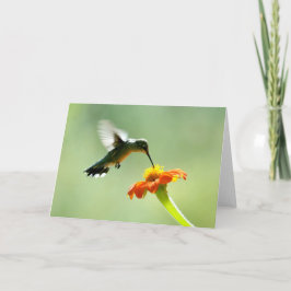 Leere Grußkarte mit Kolibri und Blume Karte