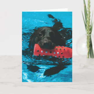 Leere Grußkarte mit Labrador Schwimmen Dankeskarte