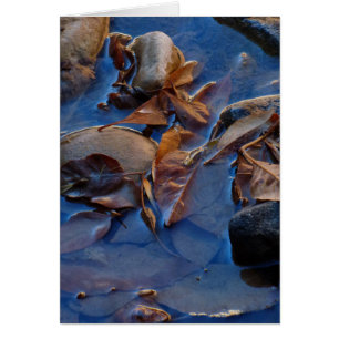 Leere Innenseite, Blätter