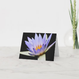 Leere Innenseite Karte #7 00700