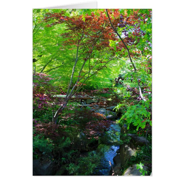 Leere Karte, botanischer Garten (Vorne)