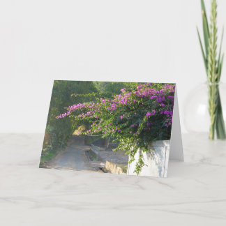 Leere Karte - Bouganvilla auf einer Wand