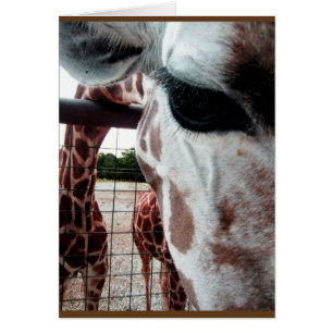 Leere Karte der Giraffe