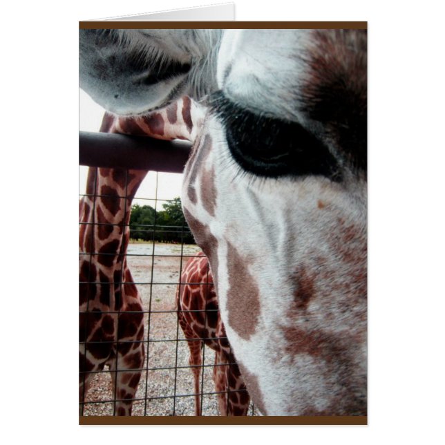 Leere Karte der Giraffe (Vorne)
