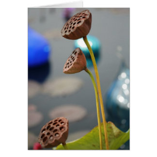 Leere Karte des Wasser-flowers2