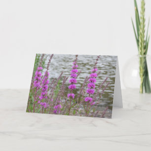 Leere Karte mit hohen rosa Blume in der Nähe des F