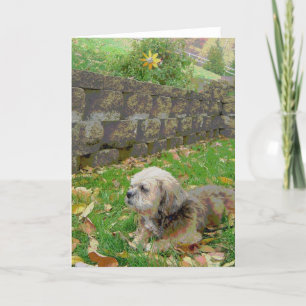 Leere Karte mit Pflege