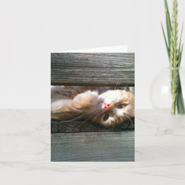 leere Katzenanmerkungskarte Karte (Vorderseite)