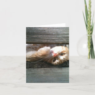 leere Katzenanmerkungskarte Karte