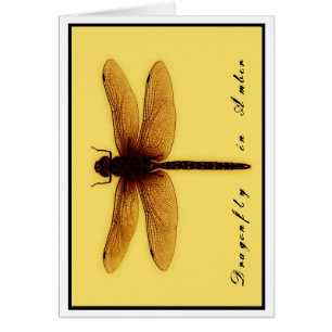 Leere Libellen-Karte