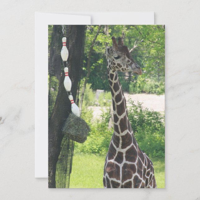 Leere Note Card - Anpassbar - Giraffe Mitteilungskarte (Vorderseite)