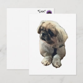 Leere Pekingese-Karte mit "Sink" Dankeskarte