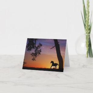 Leere Pferde-Mitteilungskarten Karte