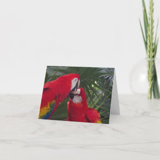 Leere rote Papageien-Grußkarten Karte