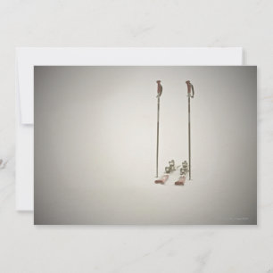 Leere Skis und Polen