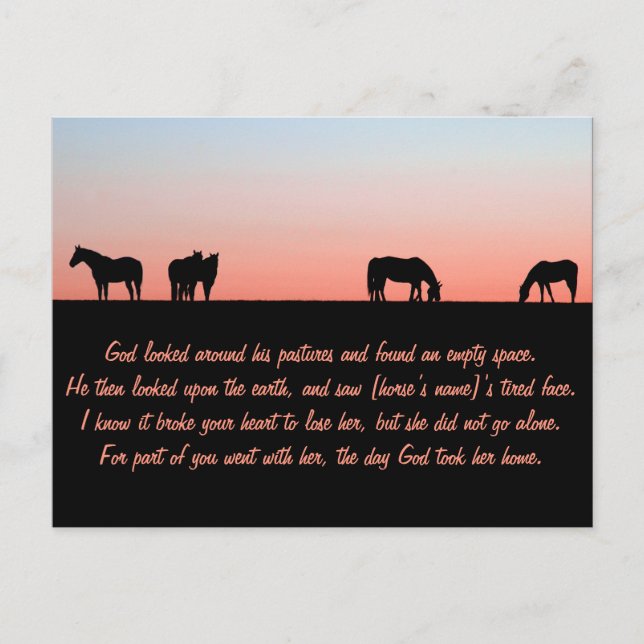 Leere Weide Postkarte (Vorderseite)