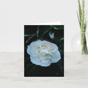 Leere weiße Blume Karte