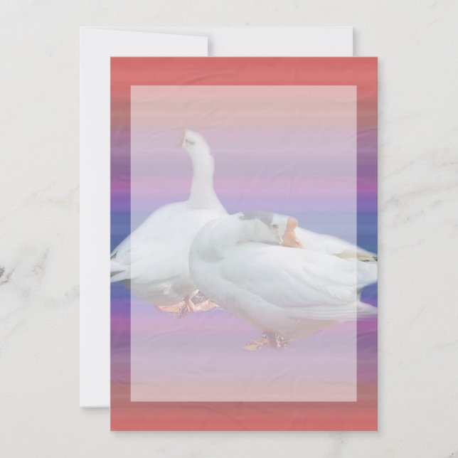 Leereinladung, alle Zwecke Einladung (Vorderseite)