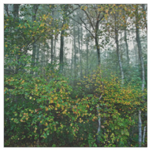 Leerer Kiefern-Wald Stoff