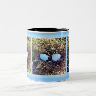 Leerer Robin Eggs Tasse
