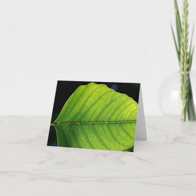 Leeres Blatt Notecard Karte (Vorderseite)