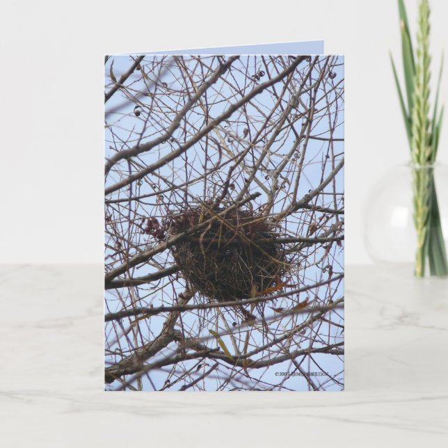 Leeres Nest Karte (Vorderseite)