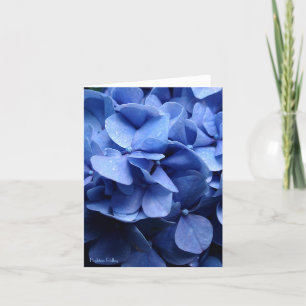 Leeres notelet/Karte der blauen Hydrangeas Karte