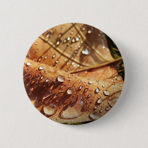Leerstelle im Herbst - Schaltfläche Button