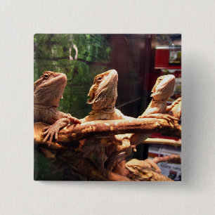 Leezard Trio Button