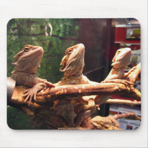Leezard Trio Mousepad