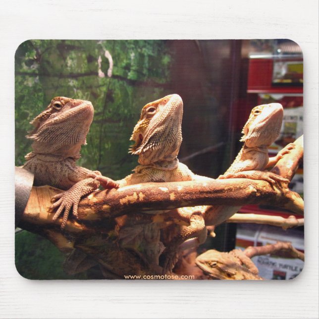 Leezard Trio Mousepad (Vorne)