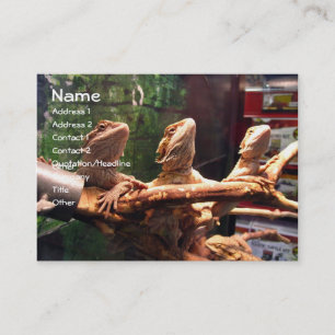 Leezerds Visitenkarten Visitenkarte