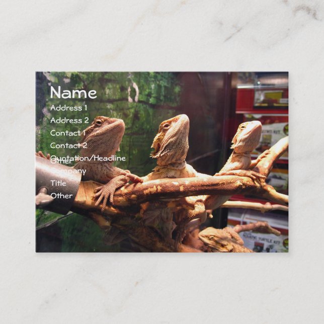 Leezerds Visitenkarten Visitenkarte (Vorderseite)