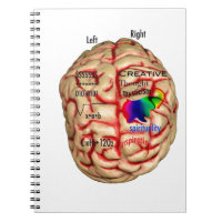 Left and Right Side of Brain