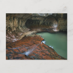 Left Fork   Zion National Park, Utah Postkarte
