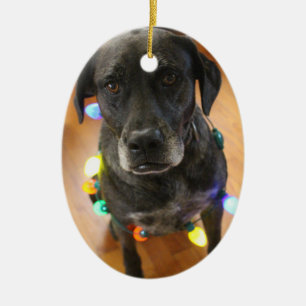 Lefy + Lichter Hoiday Verzierung Keramik Ornament