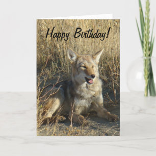 Legen des Kojote-R18 Karte