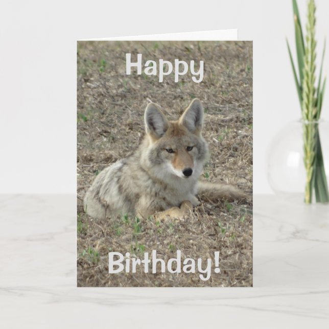 Legen des Kojote-R22 Karte (Vorderseite)