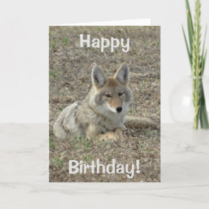 Legen des Kojote-R22 Karte