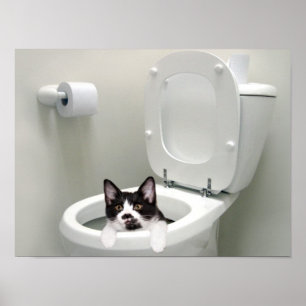 Legen Sie den Deckel ab. Poster