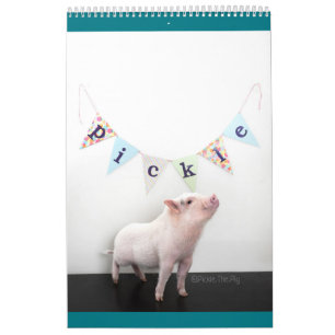 Legen Sie den Schwein-Kalender in Essig ein Kalender