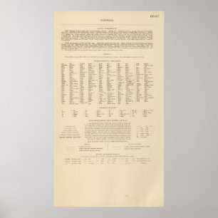 Legend 16667 Australien Poster