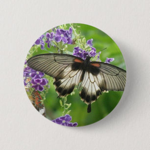 Legende des Schmetterlings-Knopfes Button