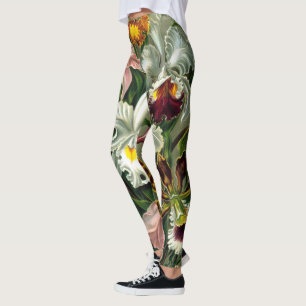 Leggings Ernst Haeckel's Orchidaceae
