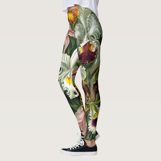 Leggings Ernst Haeckel's Orchidaceae (Links)
