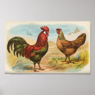 Leghorns Poster