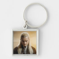 LEGOLAS GREENLEAF™ Character Poster 2