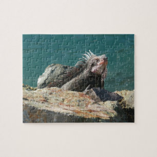 Leguan auf St. Thomas Puzzle